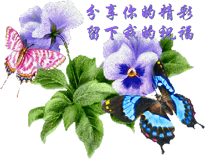 海角天涯的思念牵挂,把游子的心,思乡的情怀,带向每一天的晨曦与晚霞